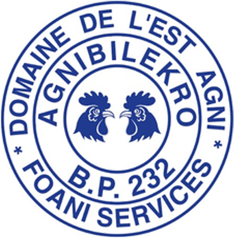 Logo Foani
